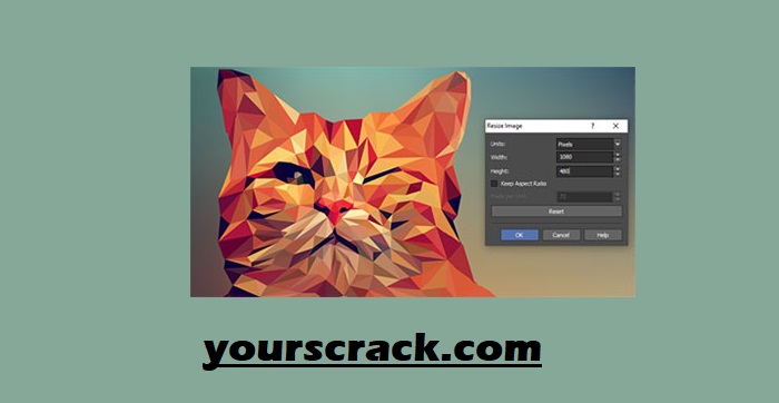 NCH DrawPad Pro Crackeado
