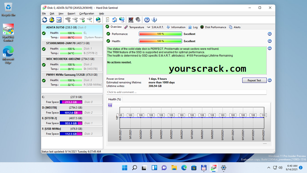 Registro do Hard Disk Sentinel Pro Chave