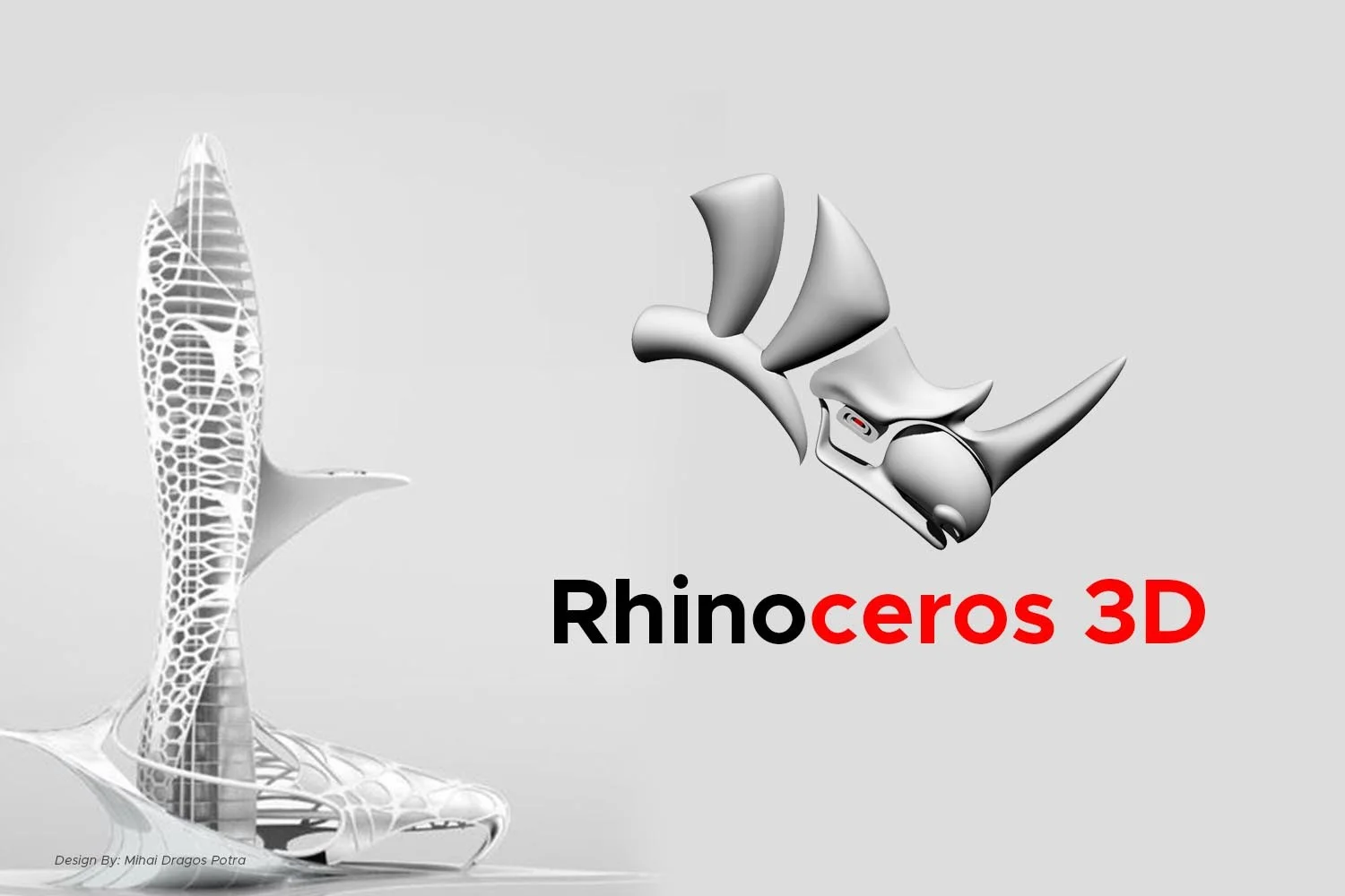Rhinoceros Crack